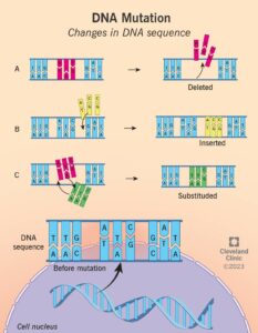 23095 genetic mutations