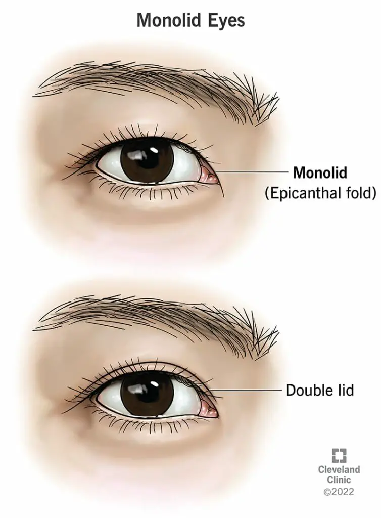 22413 monolid eyes