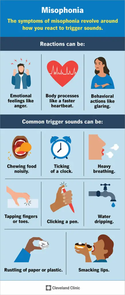 1705112298 24460 misophonia