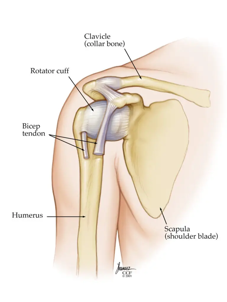 1705569262 17746 dislocated shoulder