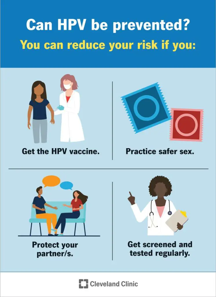 1706281941 11901 hpv human papilloma virus