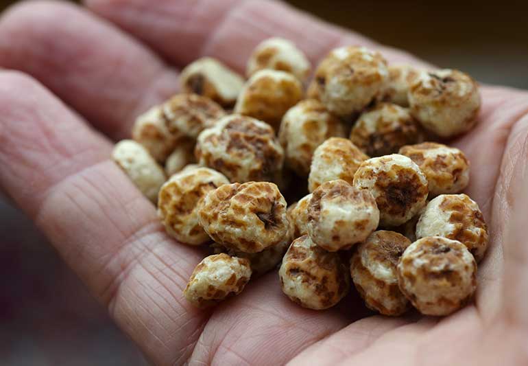 Tiger Nuts 1140417212 770x533 1