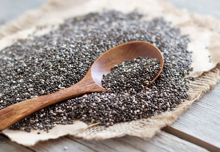 chia Seeds 531657339 770x533 1