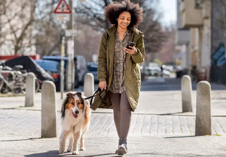 person walking dog 1389949056 770x533 1