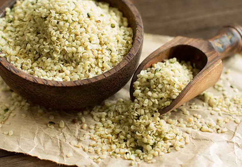 Hemp Seeds 507146608 770x533 1