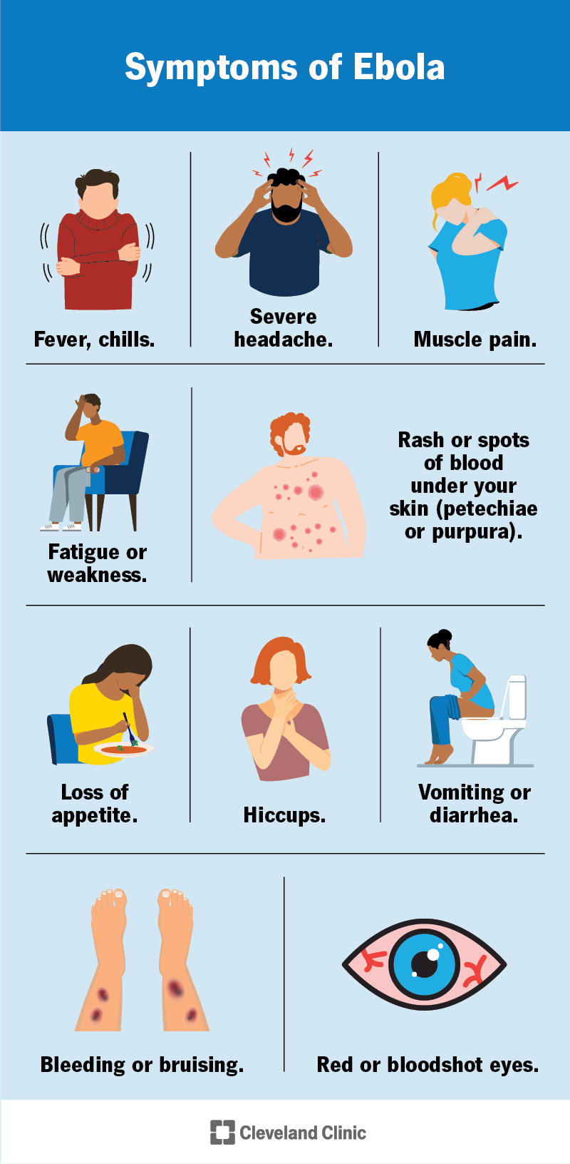 Ebolas simptomi ir drudzis, galvassāpes, muskuļu sāpes, nogurums, izsitumi, vemšana, caureja, asiņošana un citi.