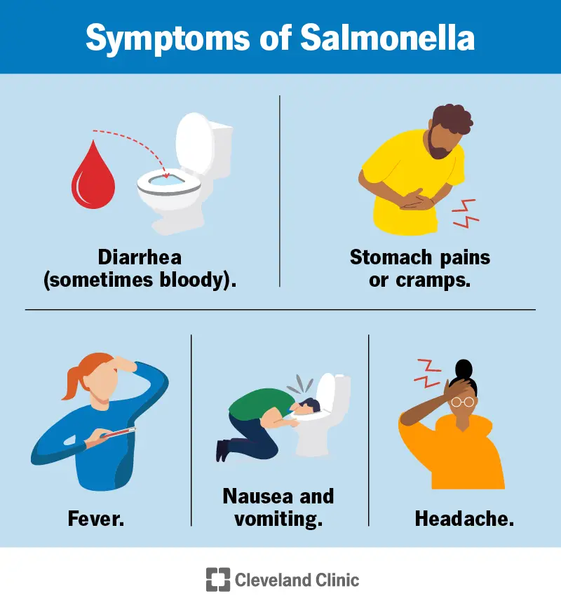 Salmonellas simptomi ir caureja, sāpes vēderā vai krampji, drudzis, slikta dūša, vemšana un galvassāpes.