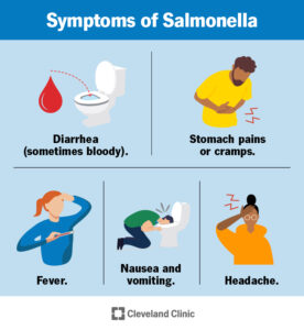 1709778077 15697 salmonella