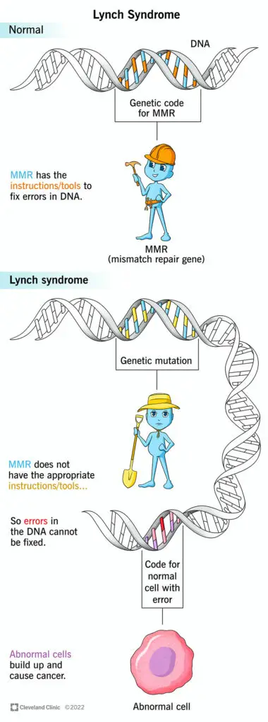 17195 lynch syndrome