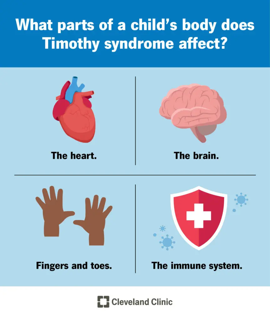 22698 timothy syndrome