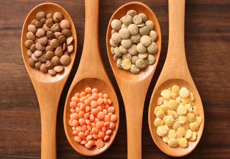 different Lentils Dried1 157526500 770x533 1