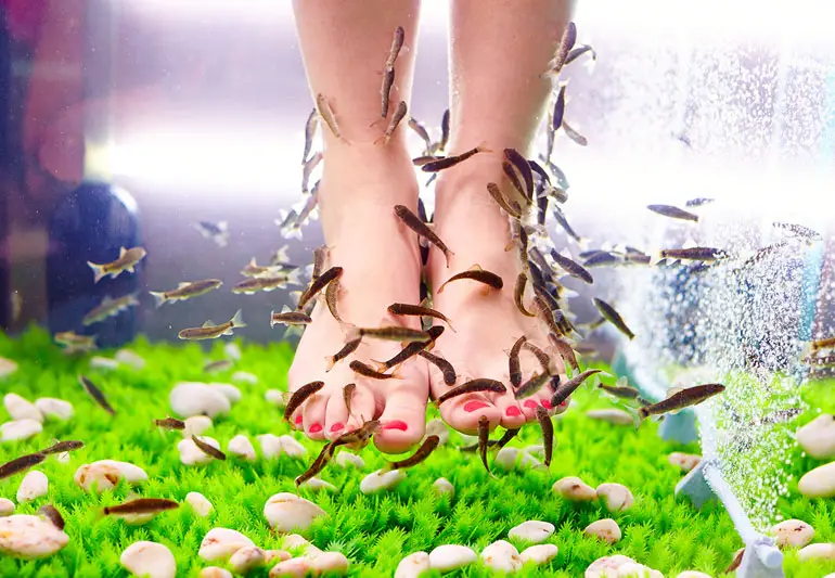 fish Pedicure 179003793 770x533 1