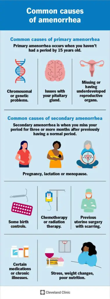 3924 amenorrhea