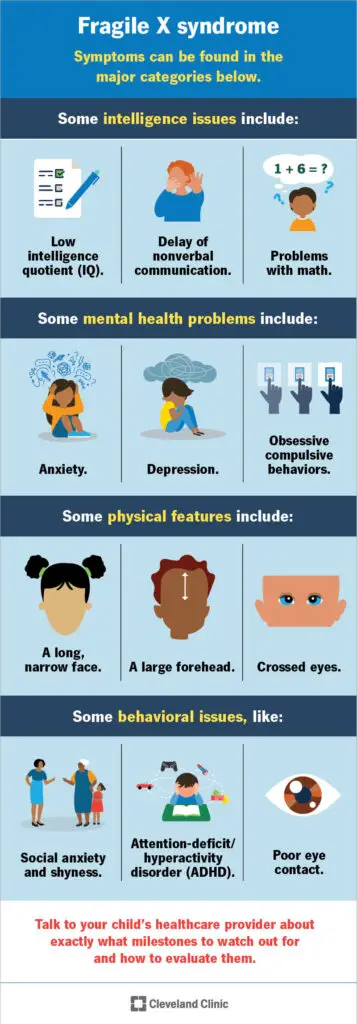 fragile x syndrome