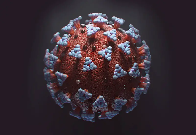 21214 coronavirus covid 19