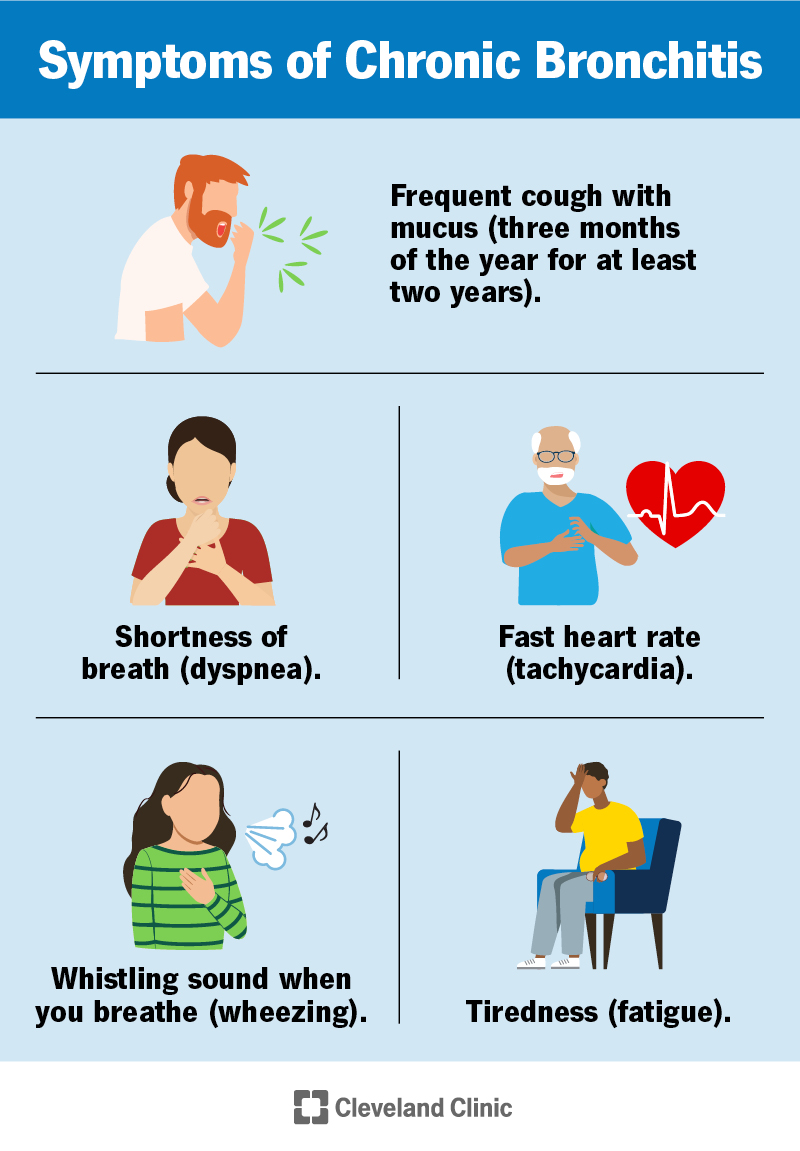 Hroniska bronhīta simptomi ir biežs klepus, elpas trūkums, ātra sirdsdarbība, sēkšana un nogurums.